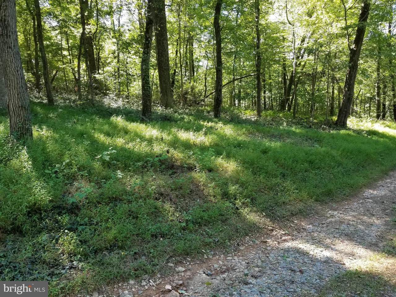 7736 Talbot Run Road - Photo 1