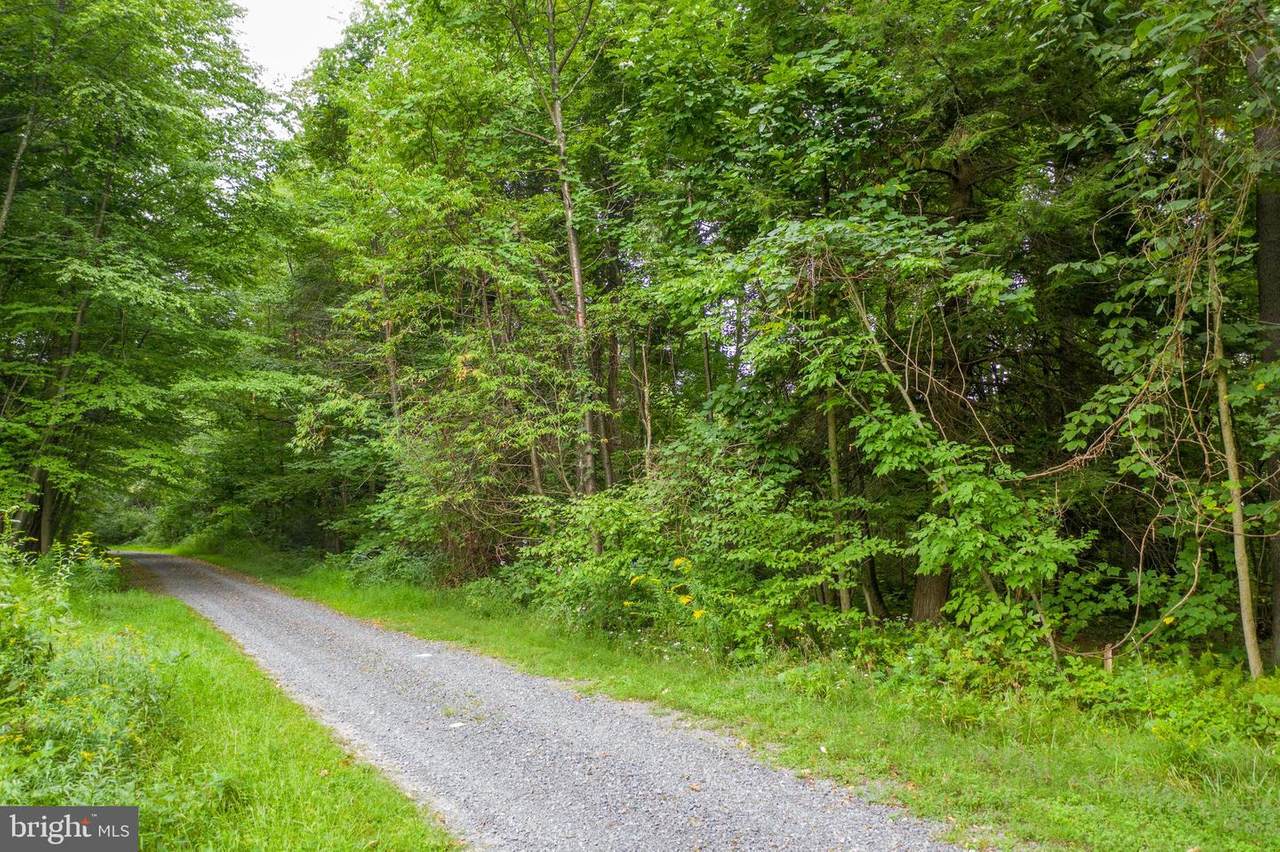 Wagner Hill Road - Photo 1