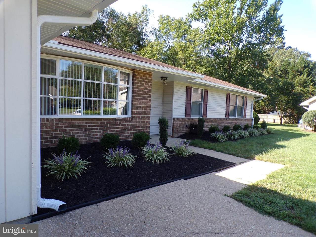 2446 Pimlico Court - Photo 1