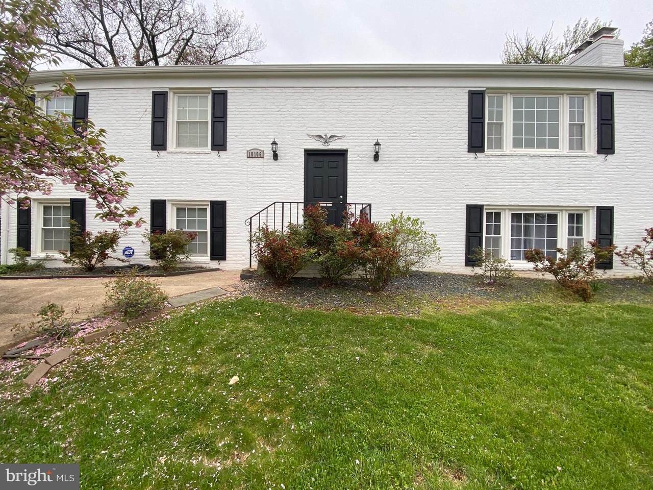 10106 Vireo Street - Photo 1