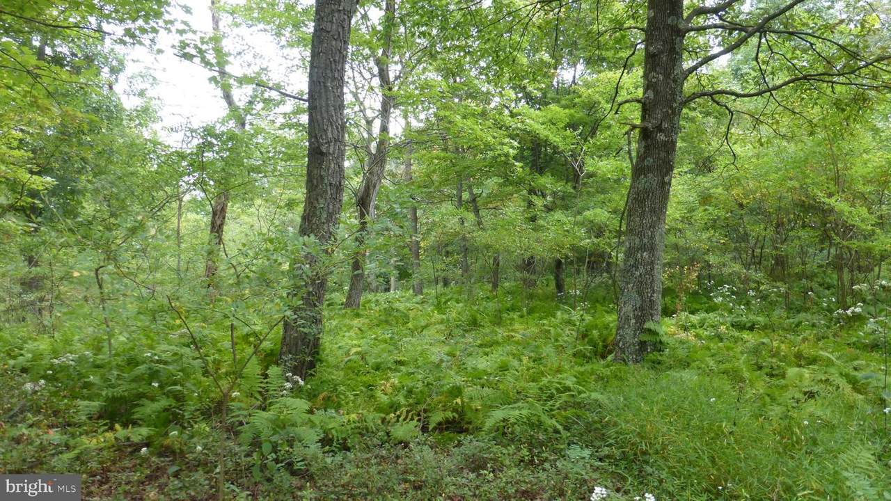 Top Of Mountain Road - Photo 1