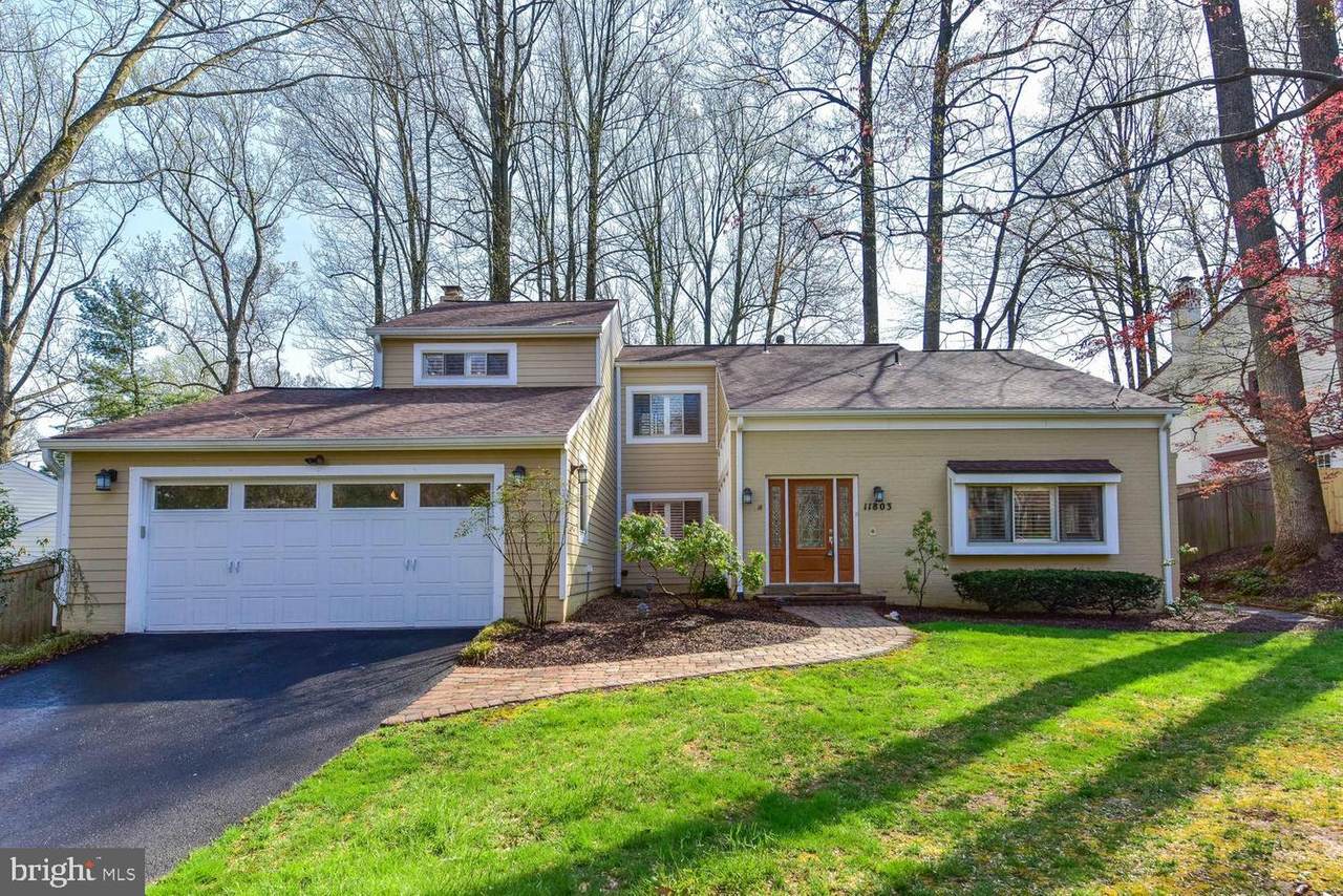 11803 Tree Fern Court - Photo 1