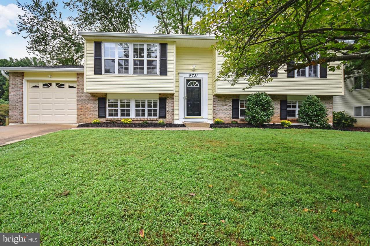 9731 Water Oak Drive - Photo 1