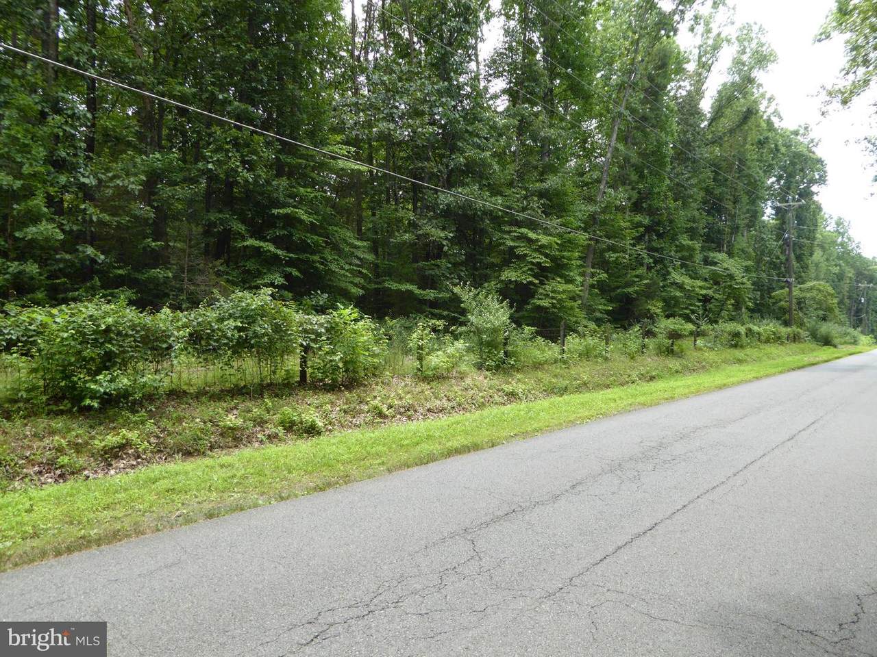 13615 Orlando Road - Photo 1