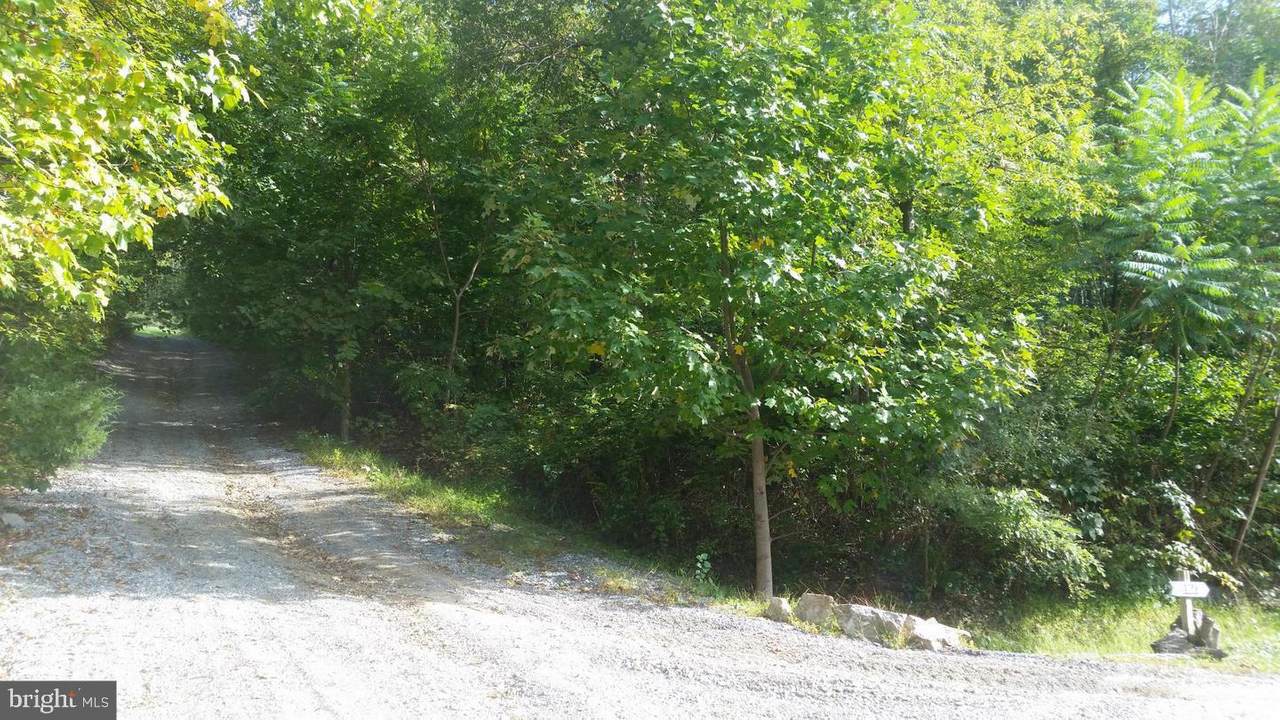 10651 Crystal Falls Drive - Photo 1
