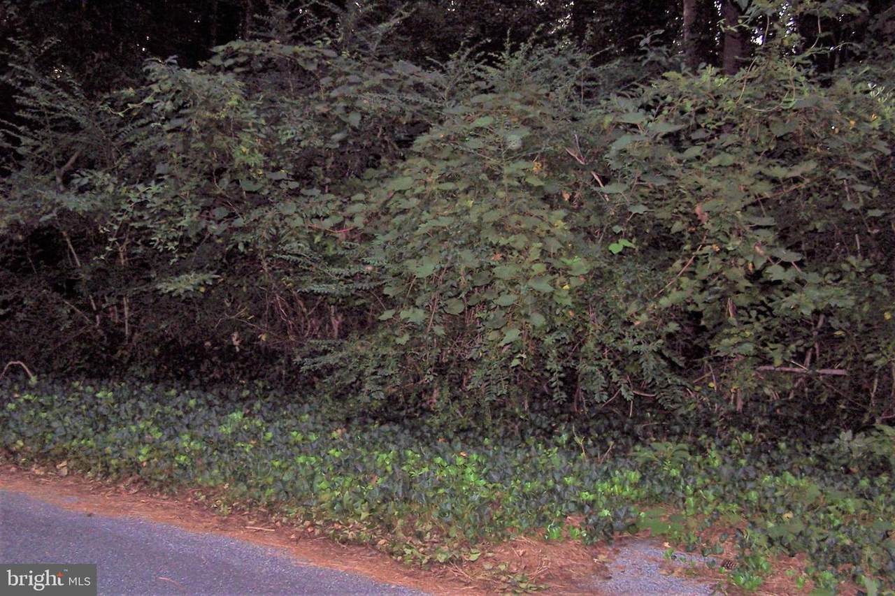LOT 53 Jamie Avenue - Photo 1