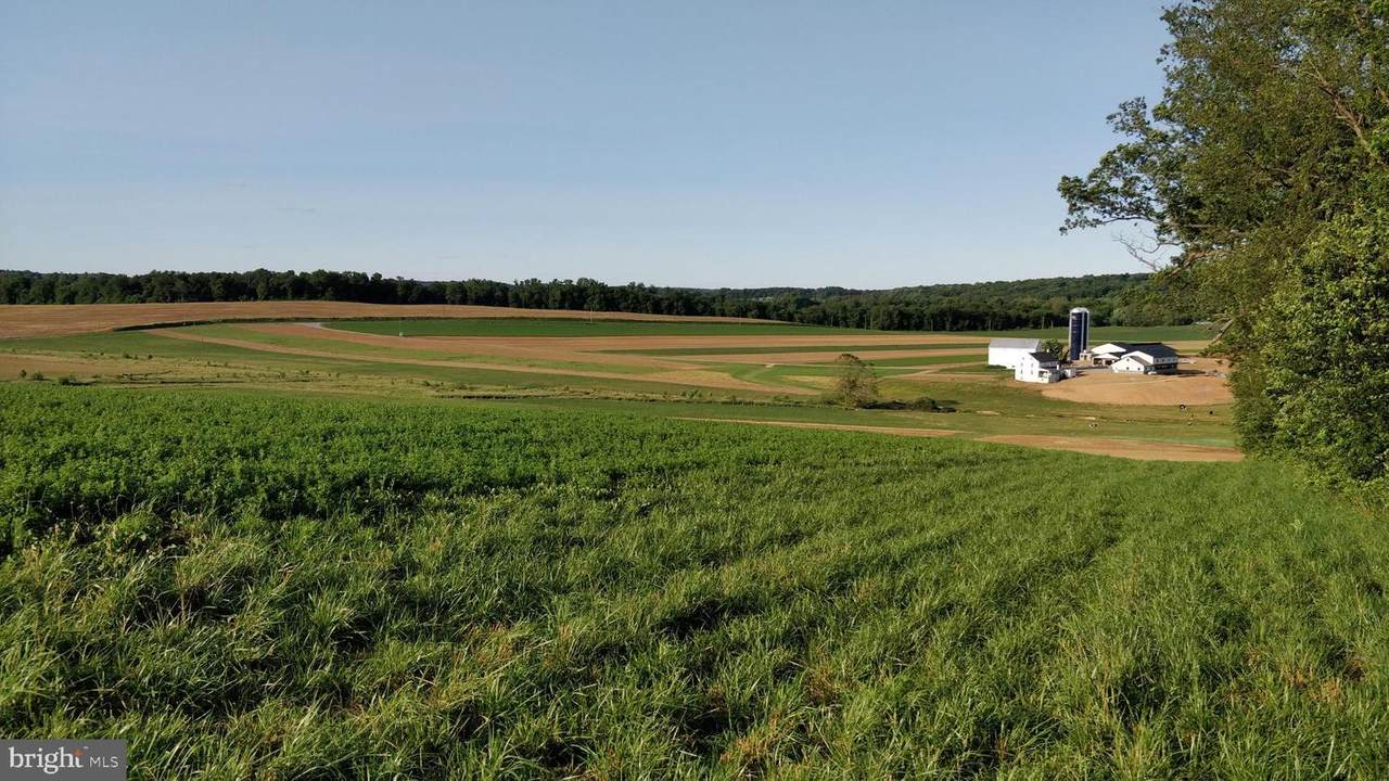 531 Bell Road - Photo 1