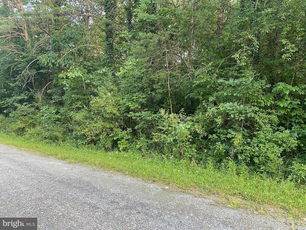 Park View Drive - Photo 1