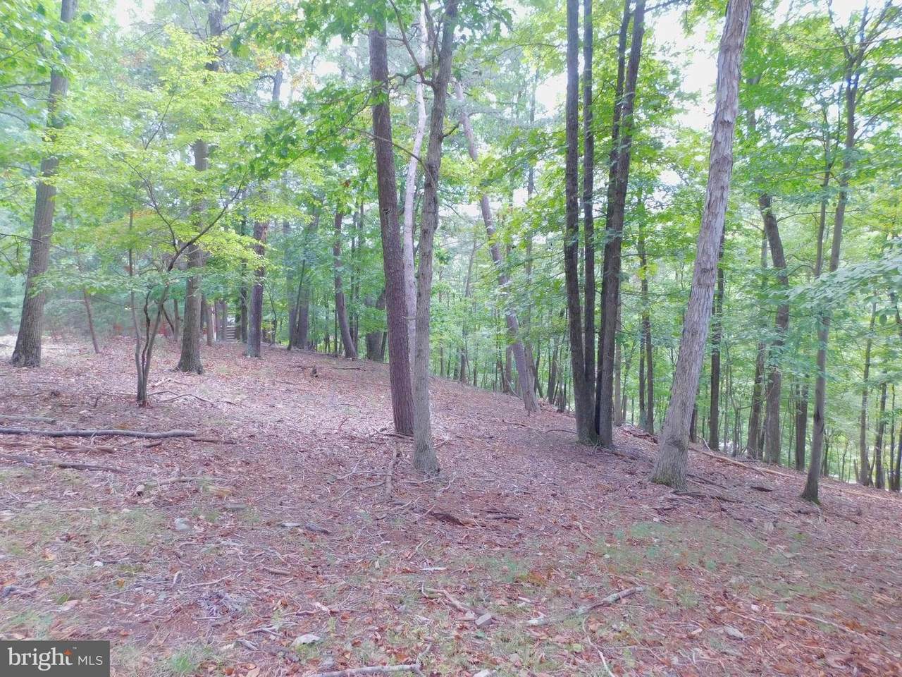11 Nemacolin Trail - Photo 1