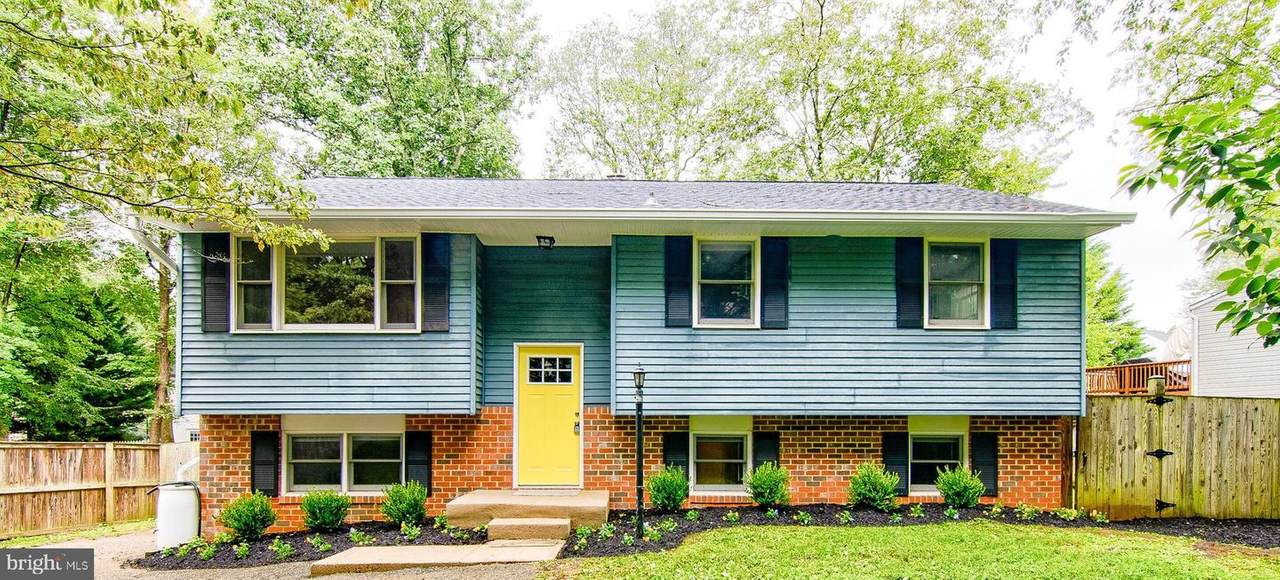 379 Blossom Tree Drive - Photo 1