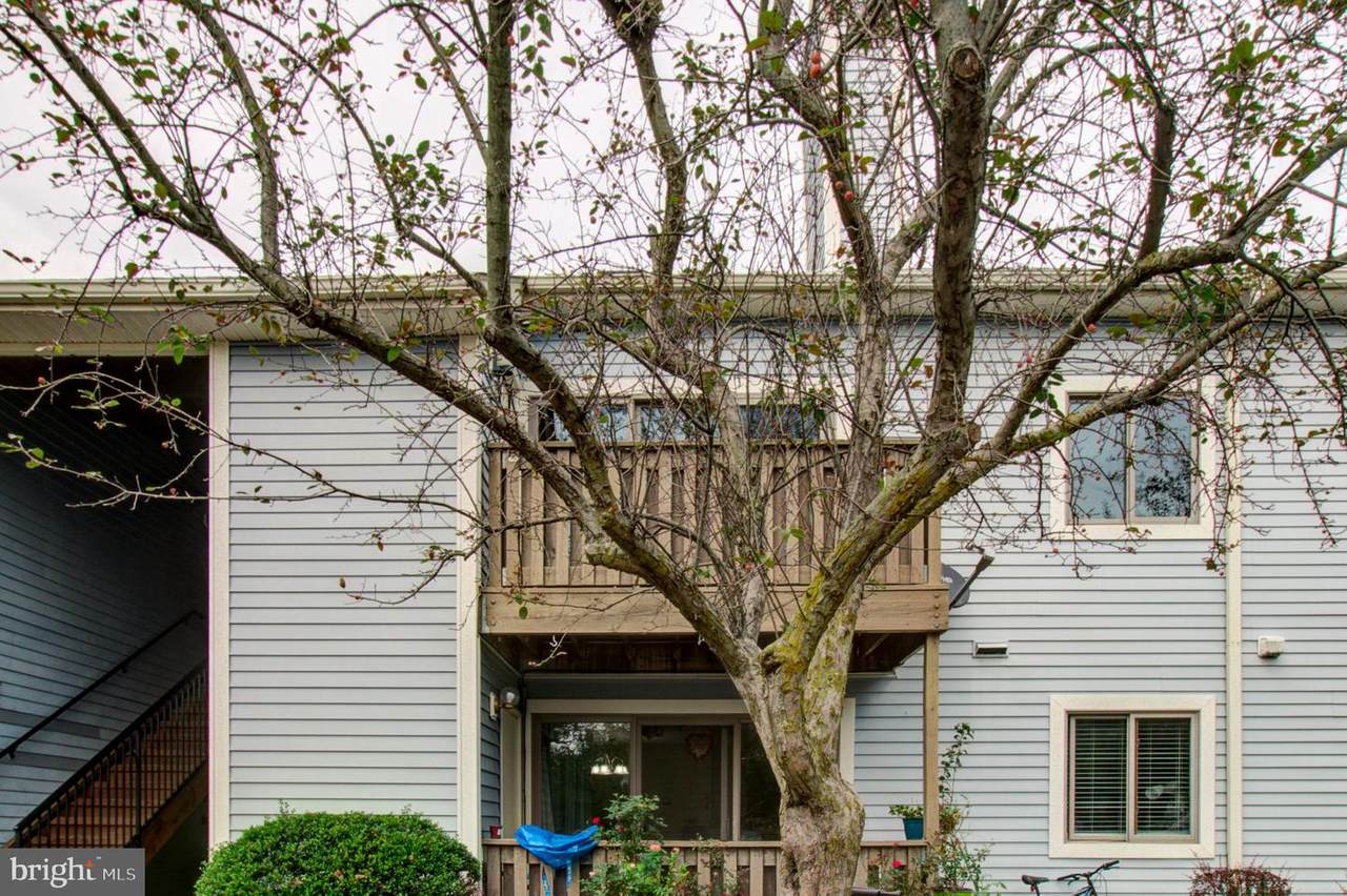 2006 Aspen Drive - Photo 1