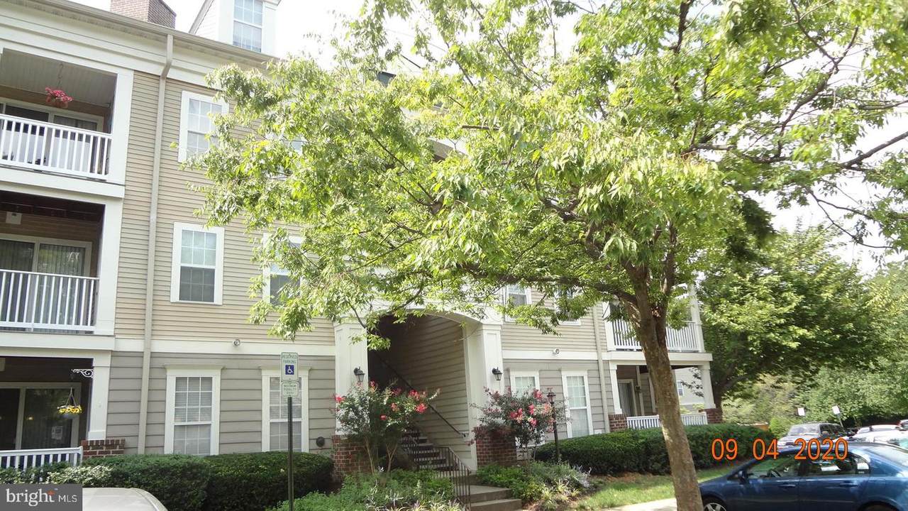 18101 Cloppers Mill Terrace - Photo 1