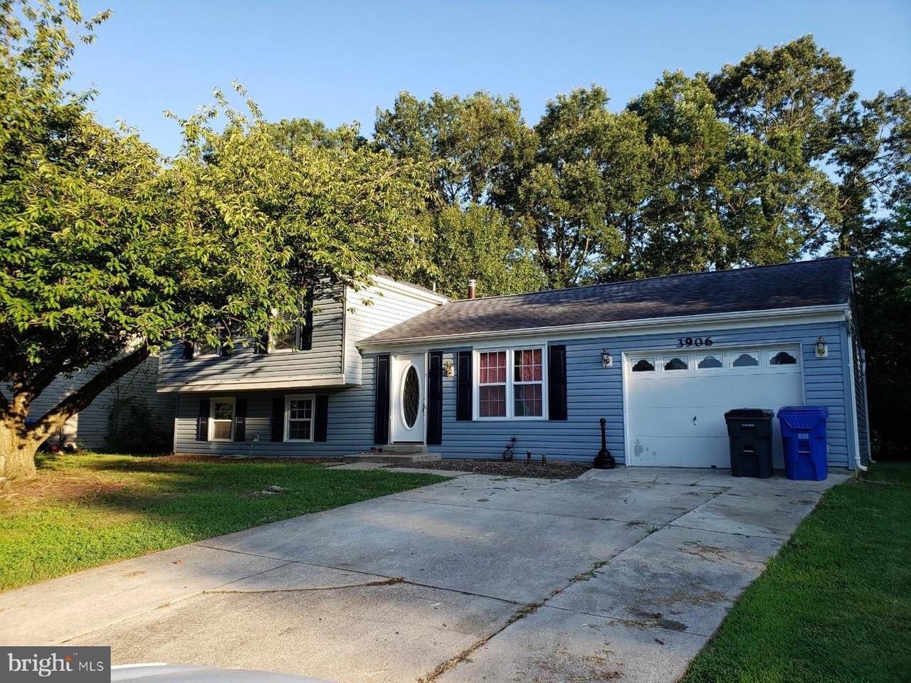 3906 Newman Court - Photo 1