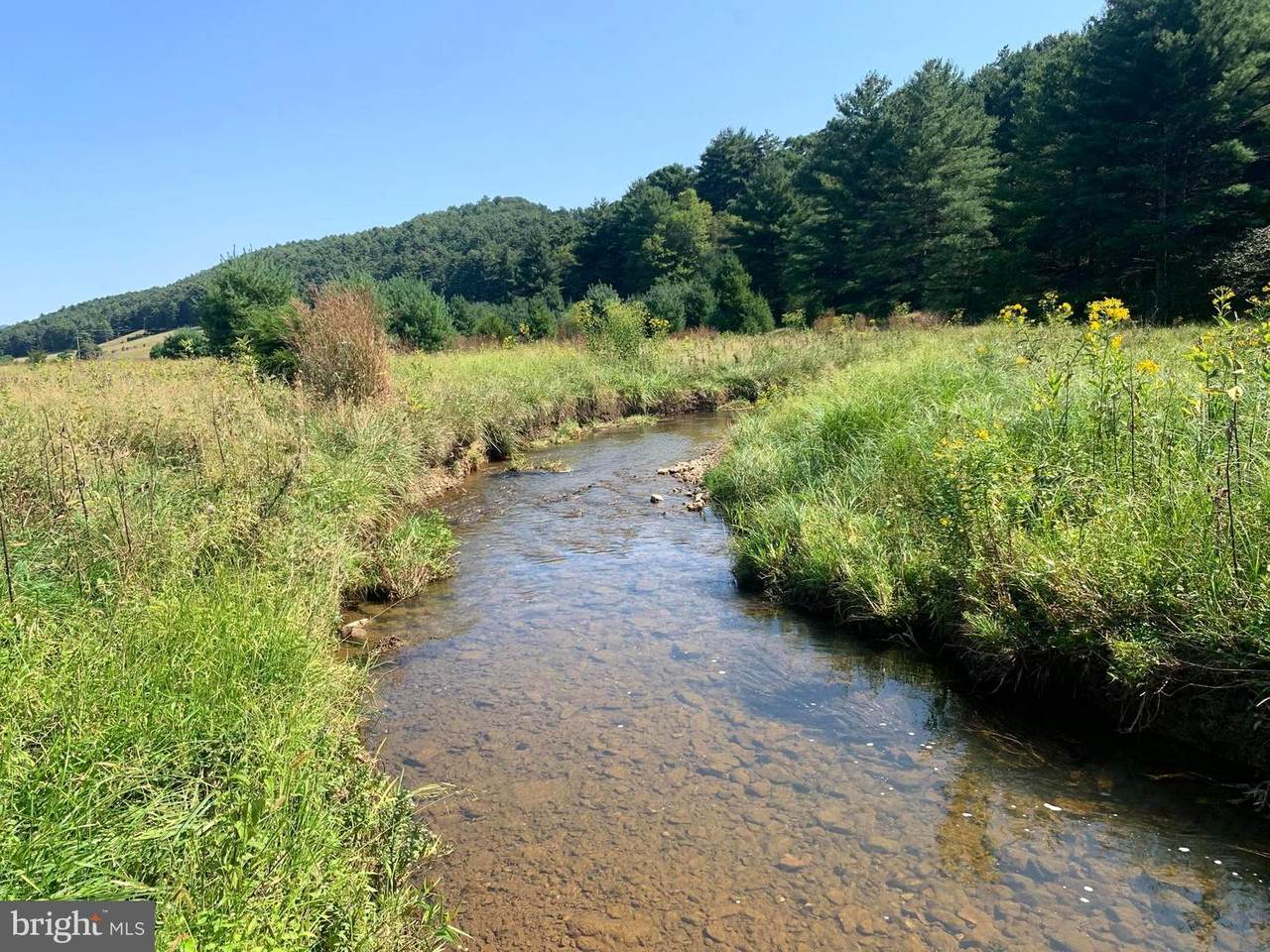 Doe Hill Road - Photo 1