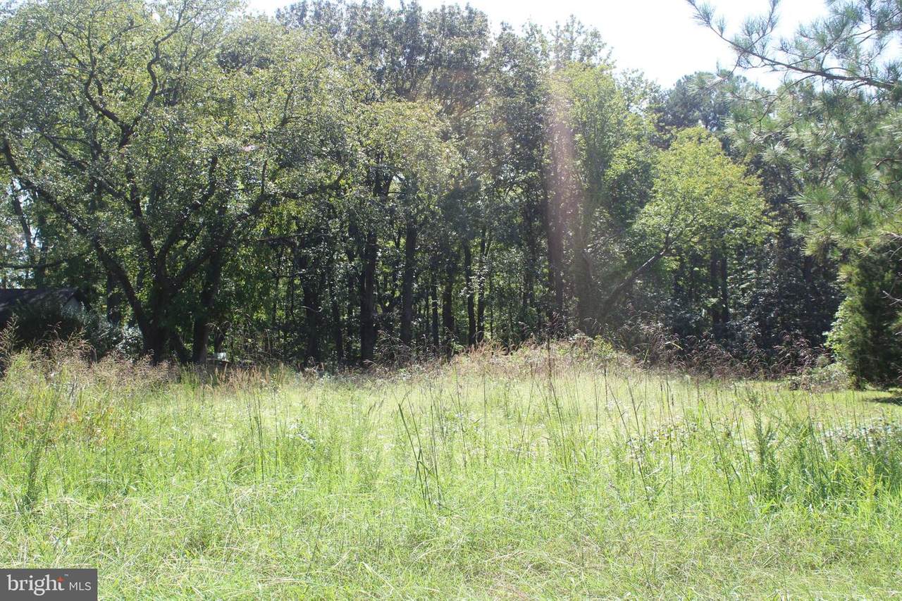 0 Harrison Road - Photo 1