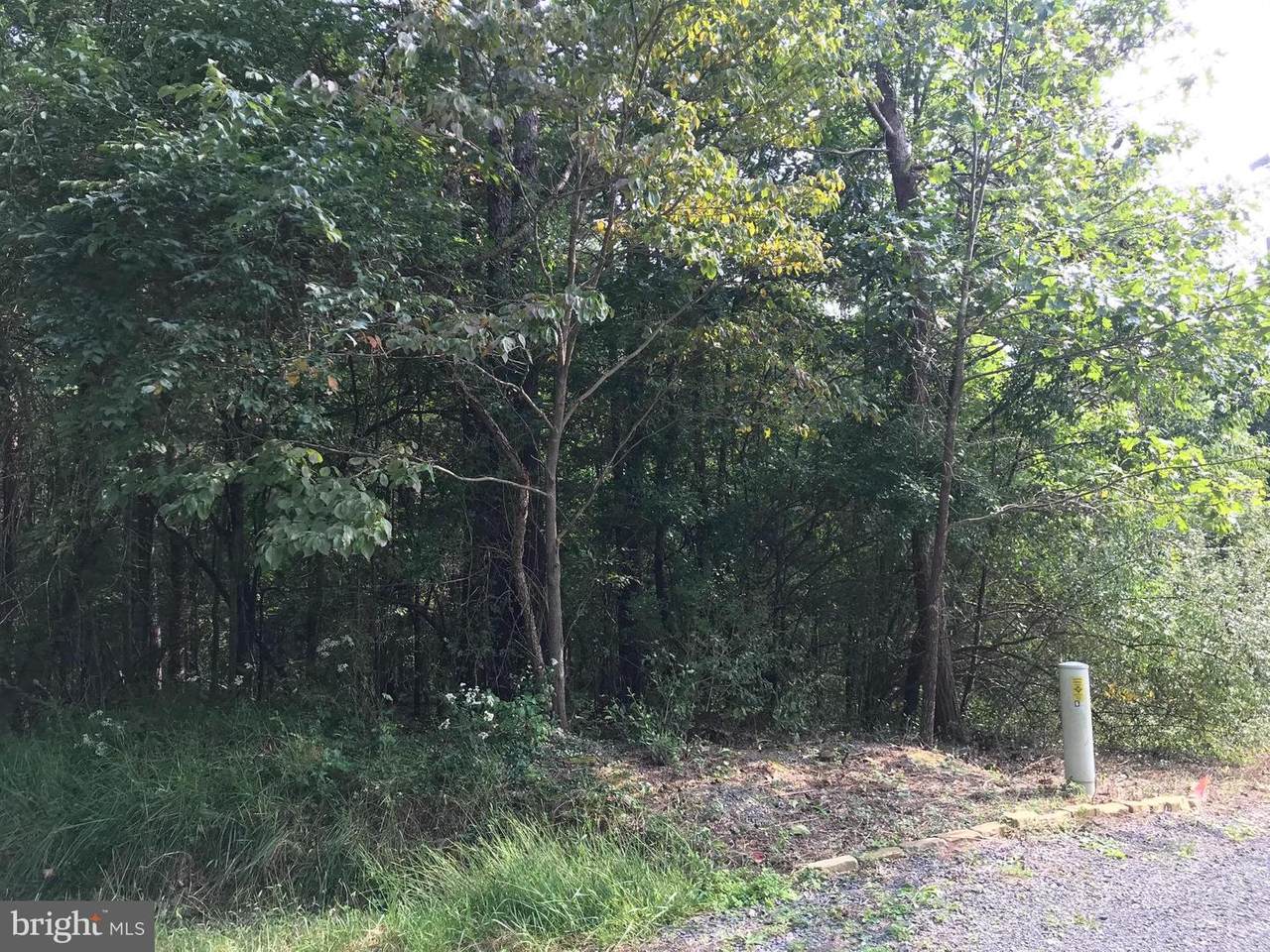 0 Cottonwood Drive - Photo 1