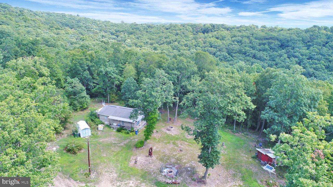 410 Forest Road - Photo 1