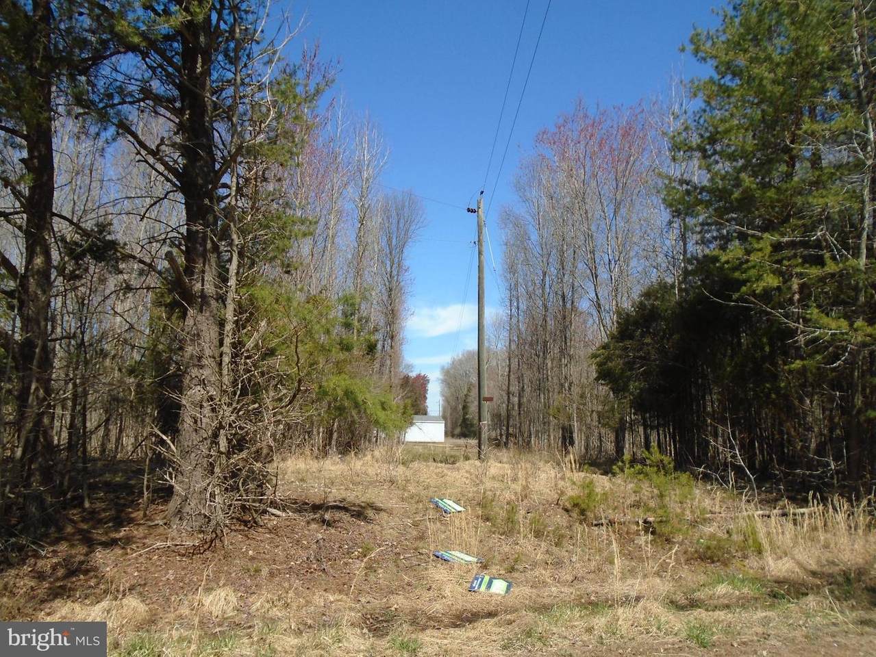 10 Roger Wayne - Photo 1