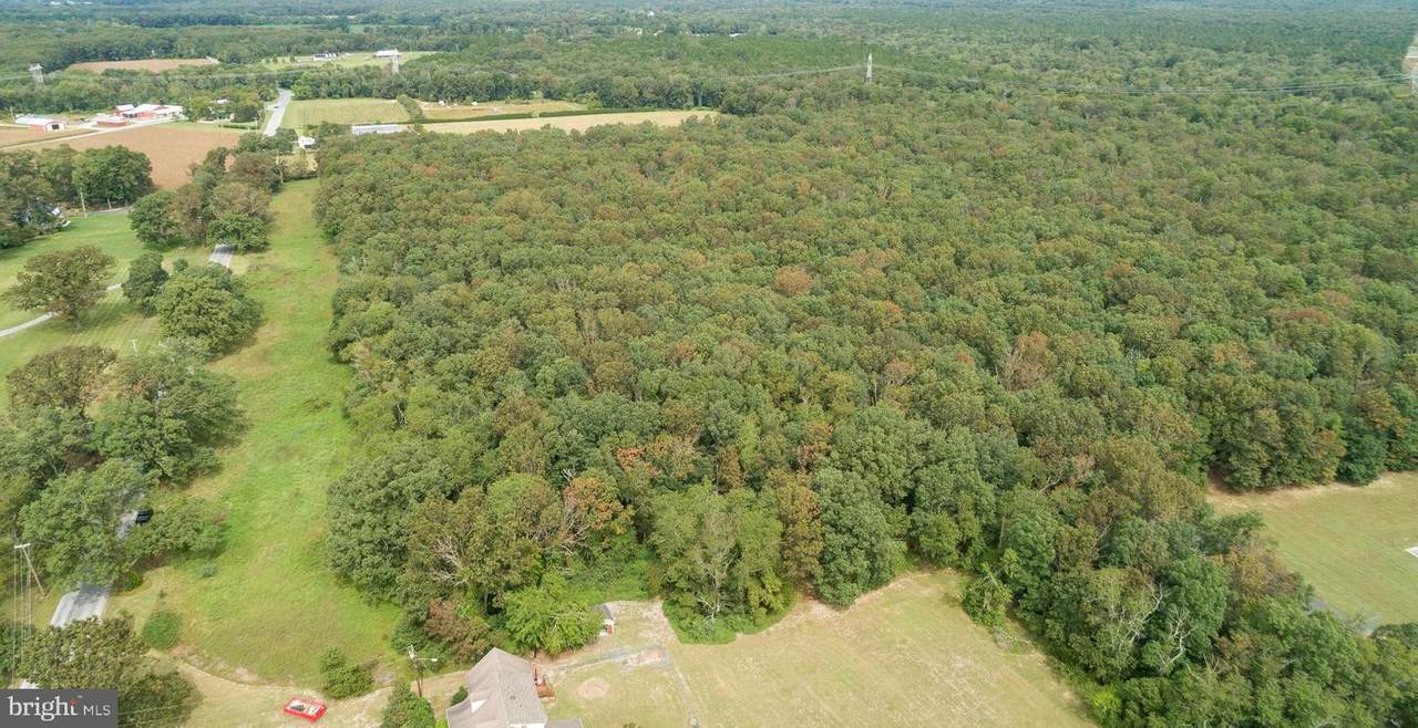 Lot 60 Fork Bridge Road - Photo 1