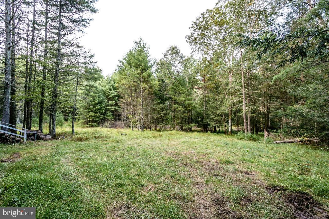 471 Fox Trap Lane - Photo 1