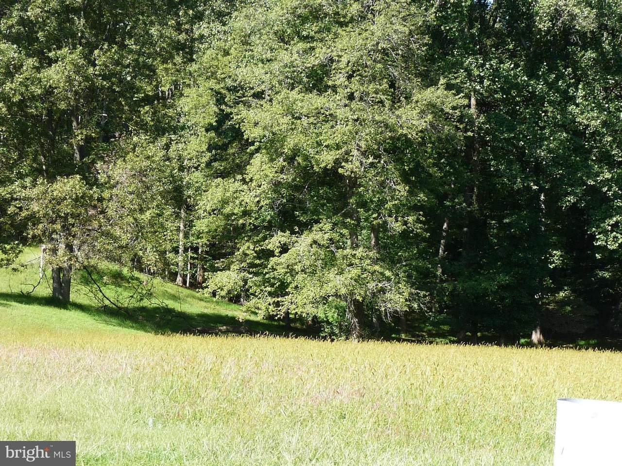 6627 Davis Ford Road - Photo 1
