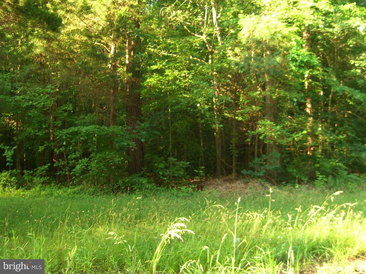 Lot 766 Alison Circle - Photo 1