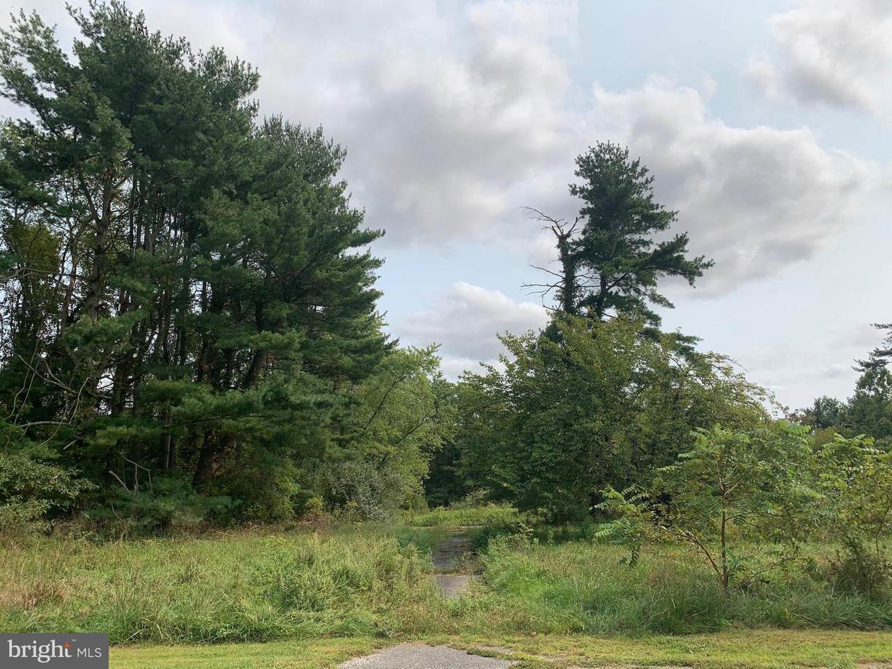 68 Holly Lane - Photo 1