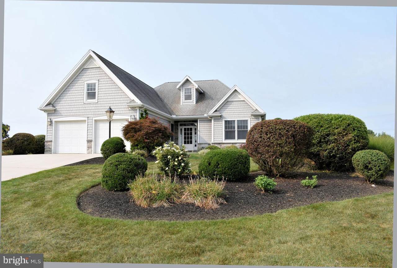 6247 Merion Drive - Photo 1