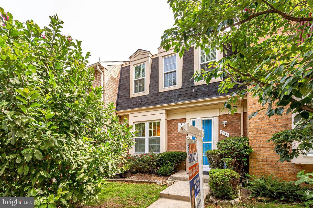 3837 Ferrara Drive - Photo 1