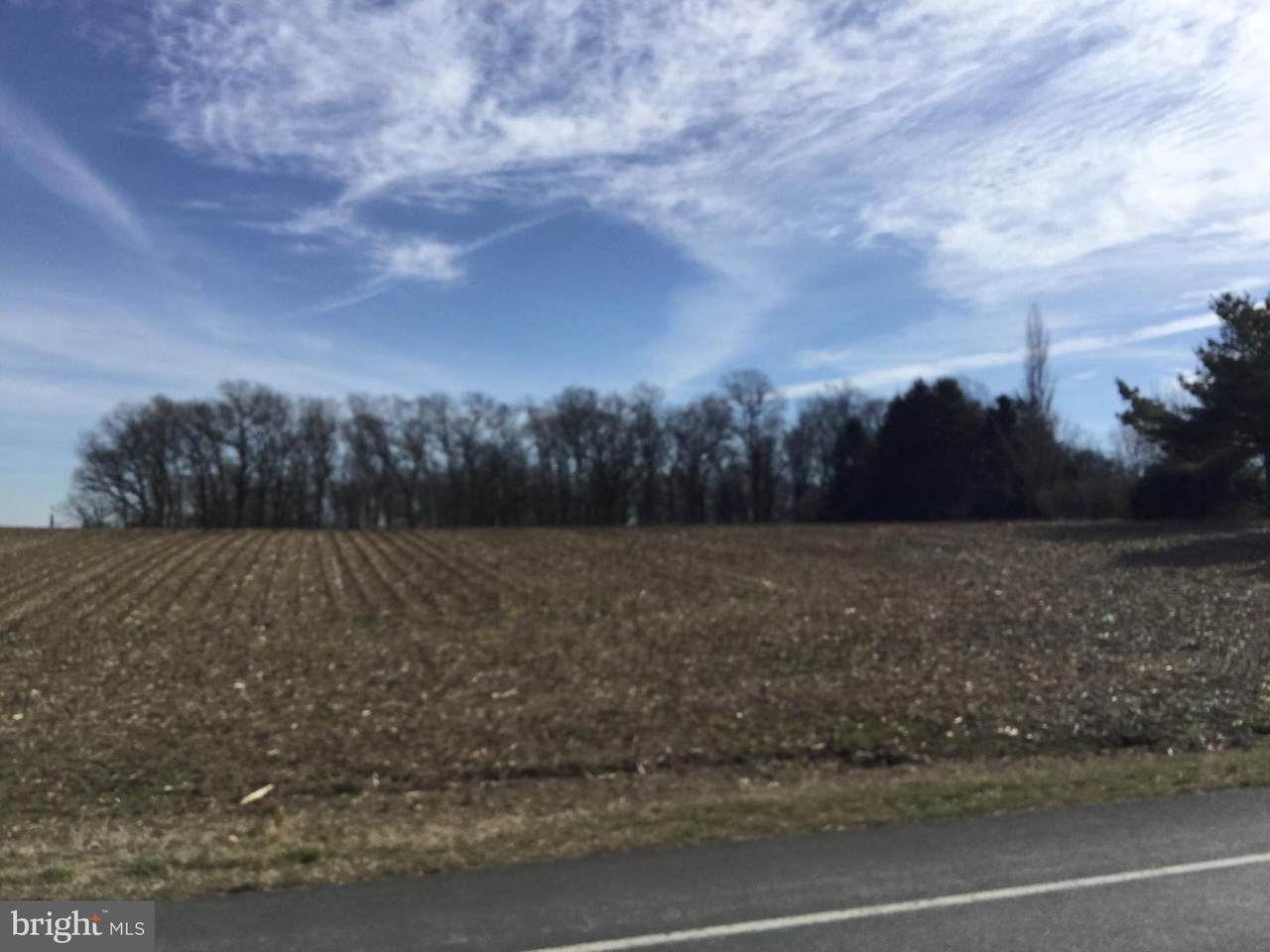 LOT 1 Susquehanna Trail - Photo 1