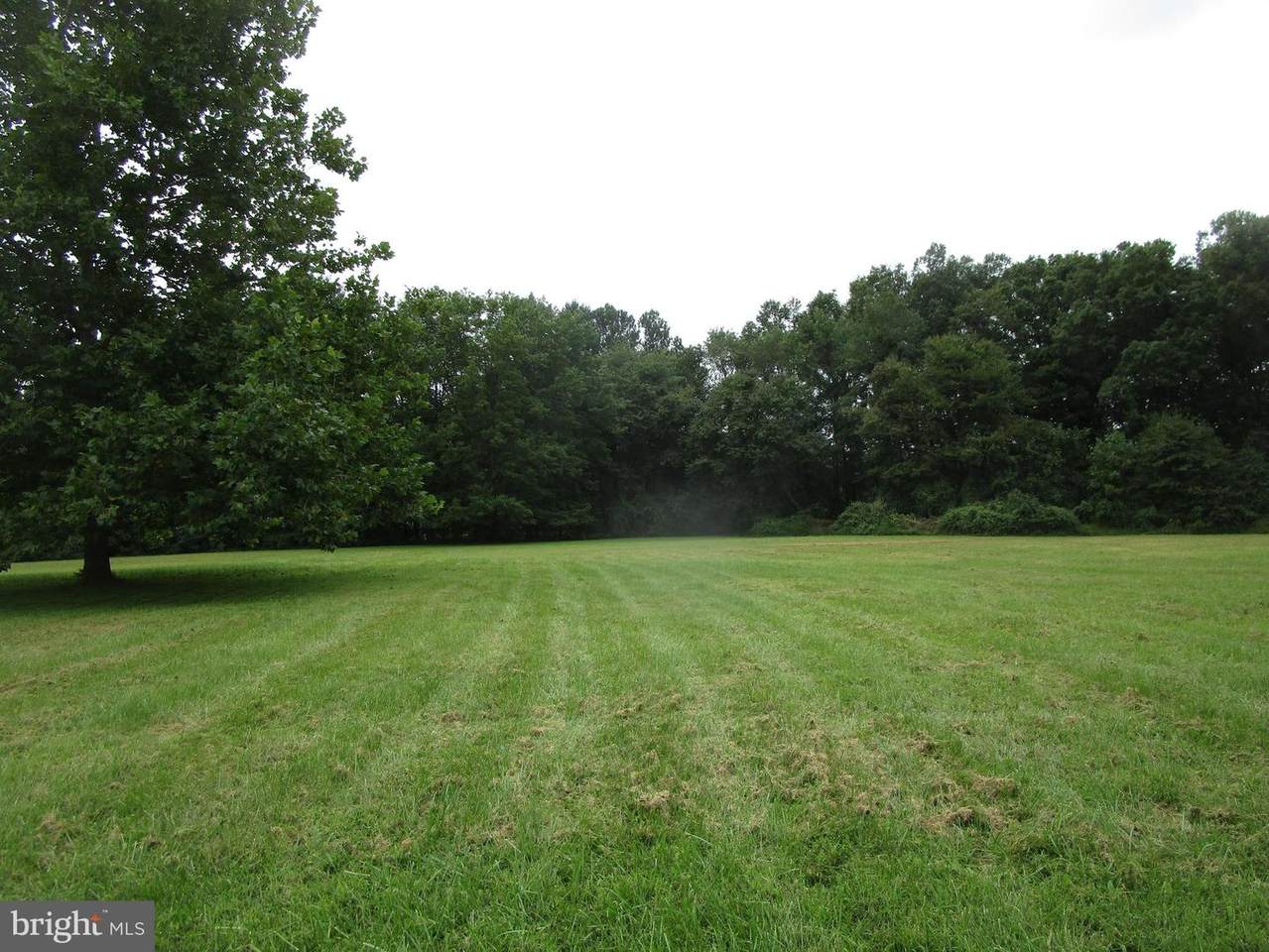 Carriage Lane - Photo 1
