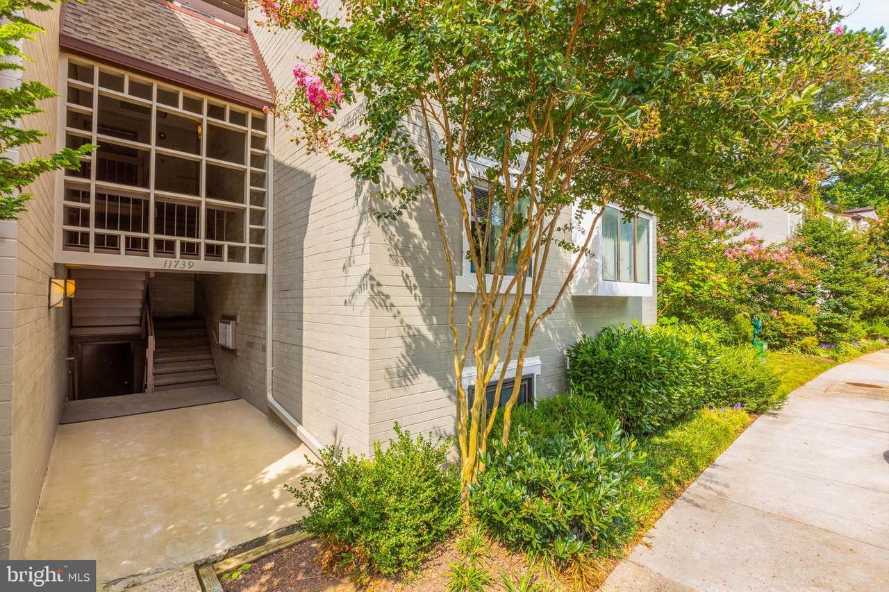 11739 Ledura Court - Photo 1