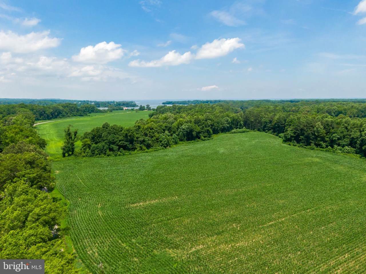 Mount Holly - Photo 1