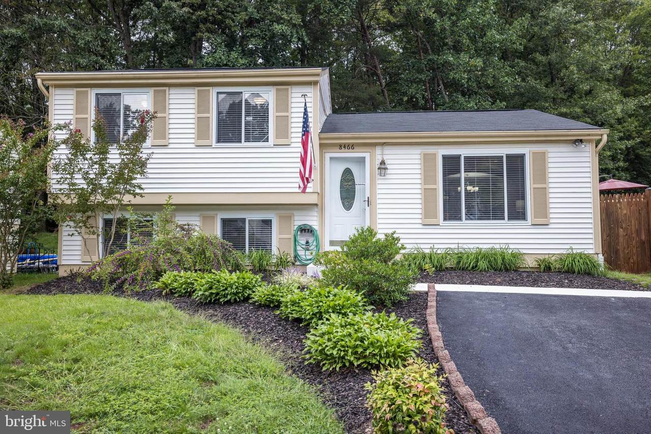 8466 Magic Tree Court - Photo 1