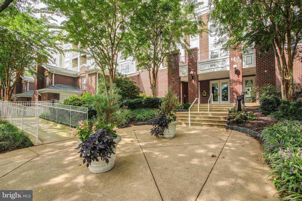 1641 International Drive - Photo 1
