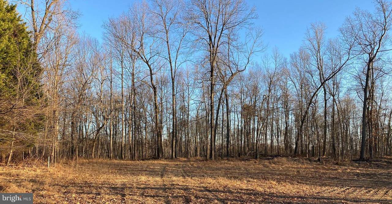 1547 Morse Road - Photo 1