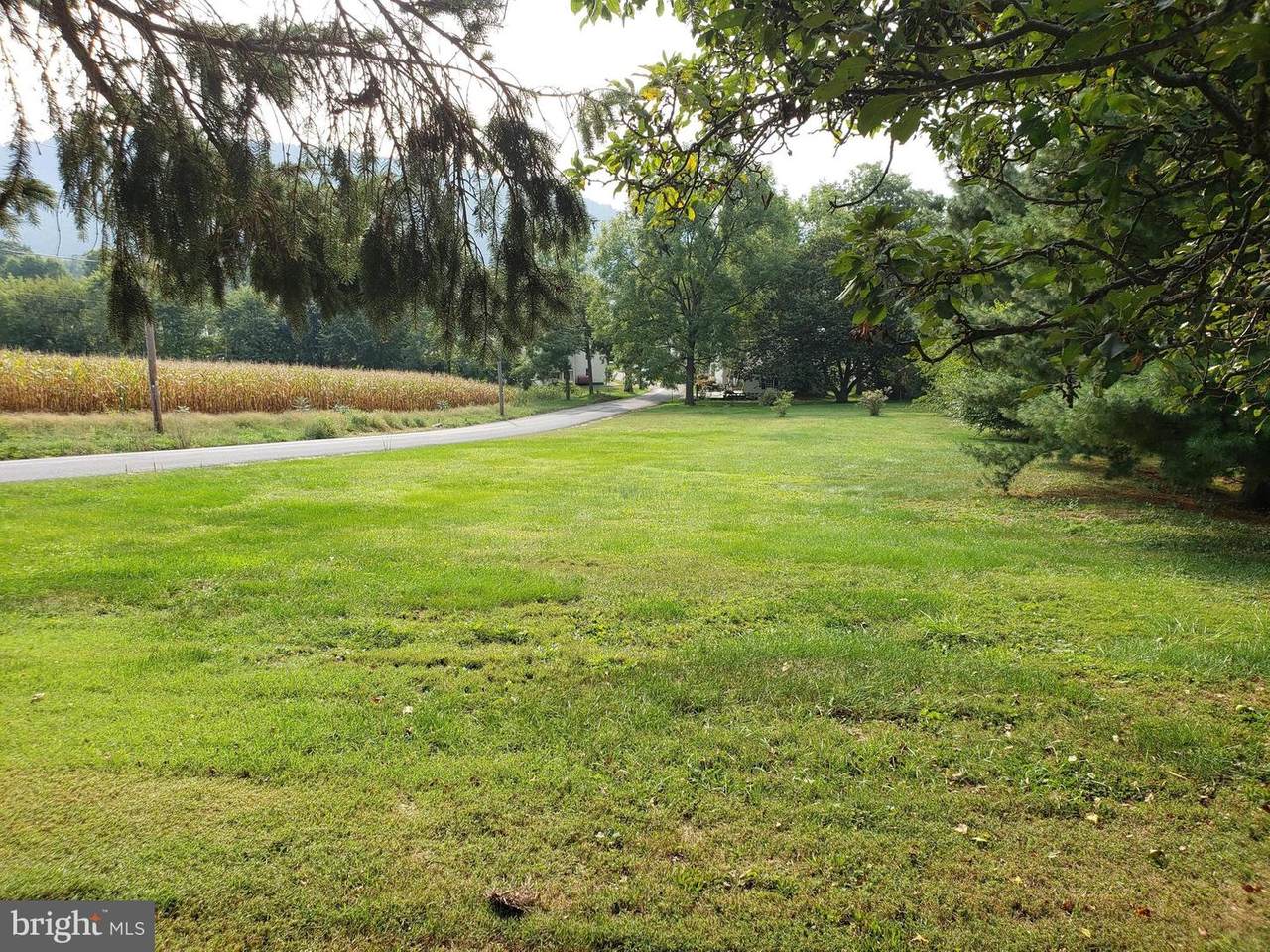 0 Democratic Lane - Photo 1