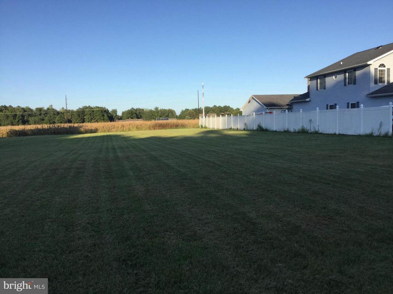 19447 Shady Rest Lane - Photo 1