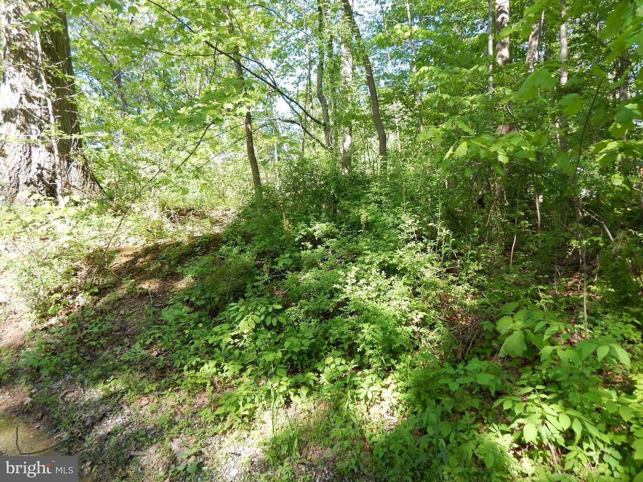 Raging River Drive - Photo 1