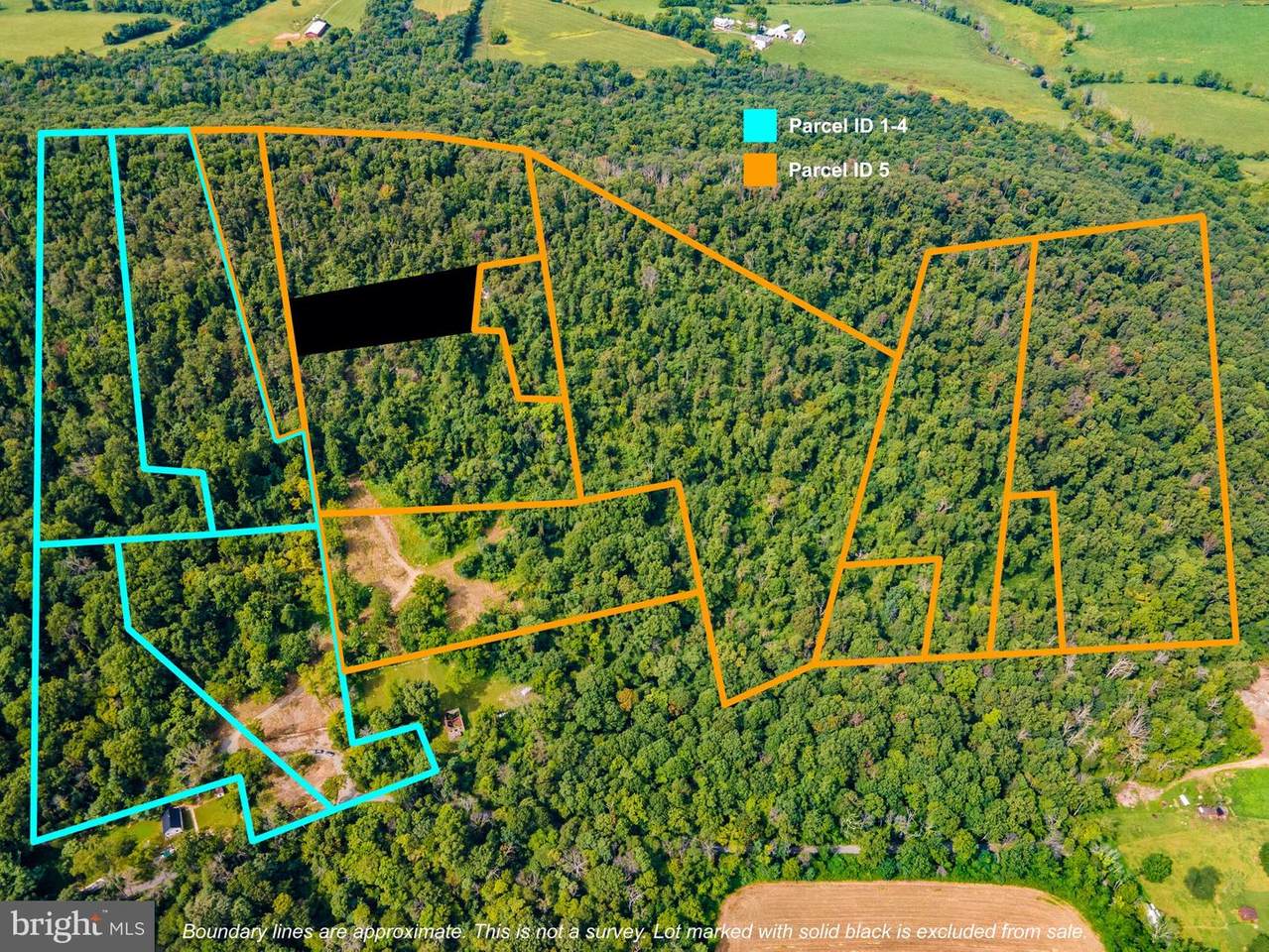 15411 Ashbury Church Road - Photo 1