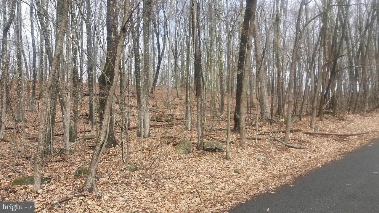 Lots 71 & 72 Oak Mountain Drive - Photo 1