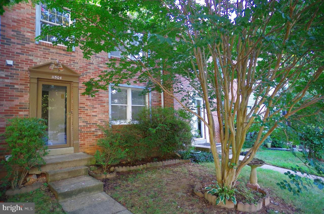11504 Ivy Bush Court - Photo 1
