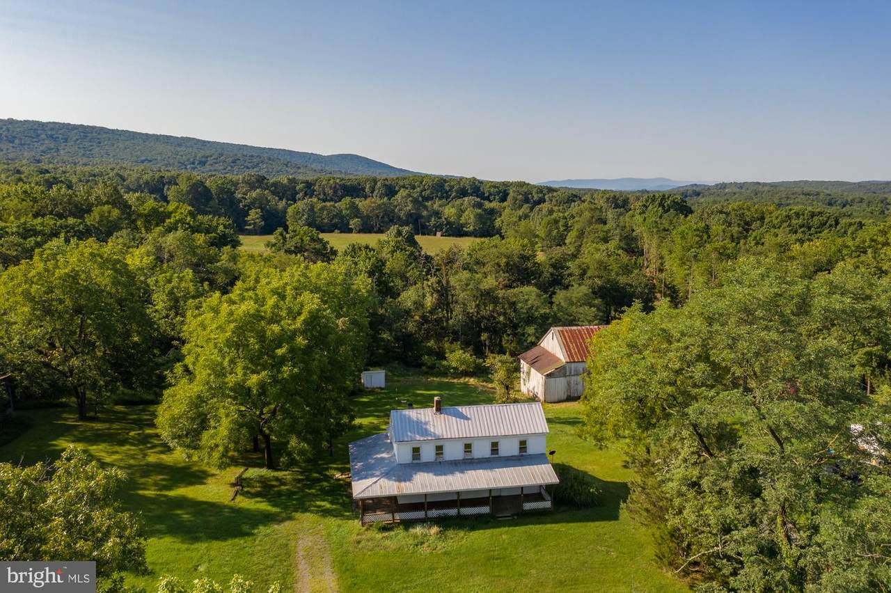 481 Mauzy Road - Photo 1
