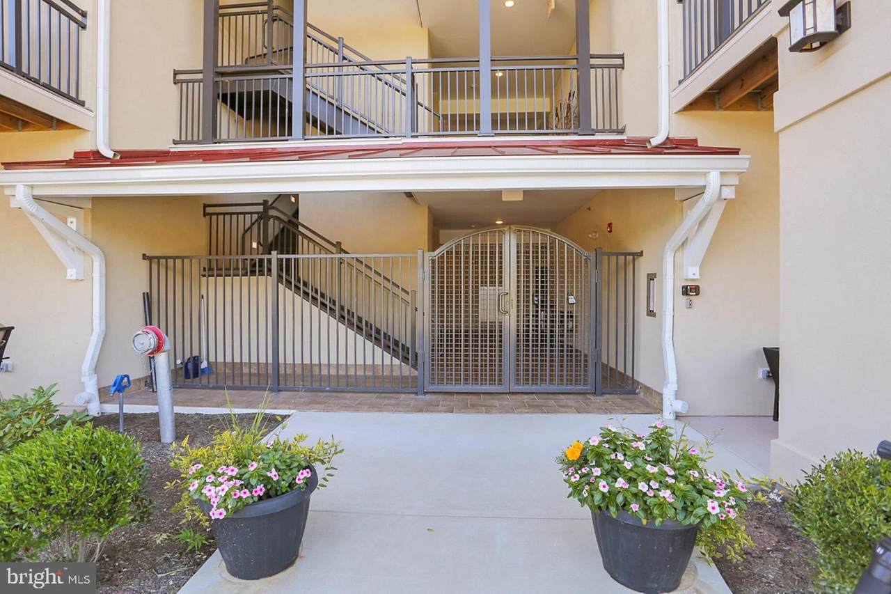 66 Bucktown Crossing - Photo 1