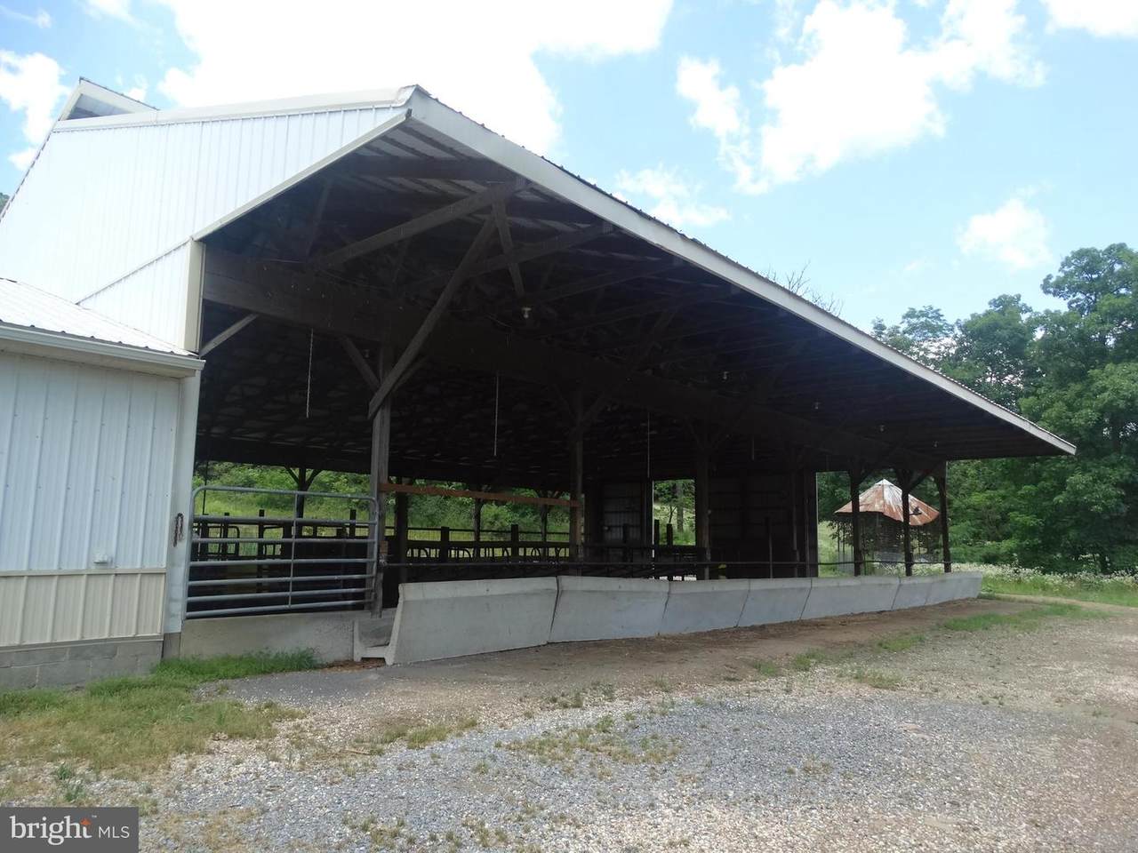 16886 Mill Road - Photo 1