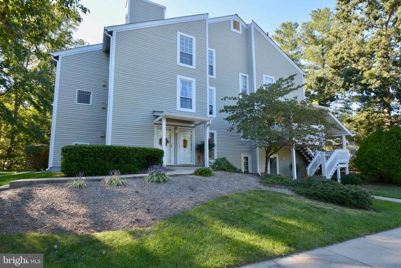 11967 Cardamom Drive - Photo 1