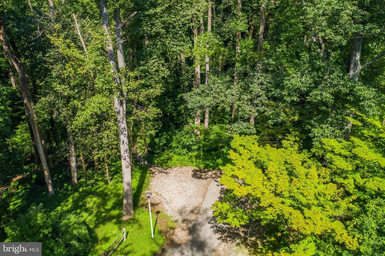 7002 Wissahickon Avenue - Photo 1