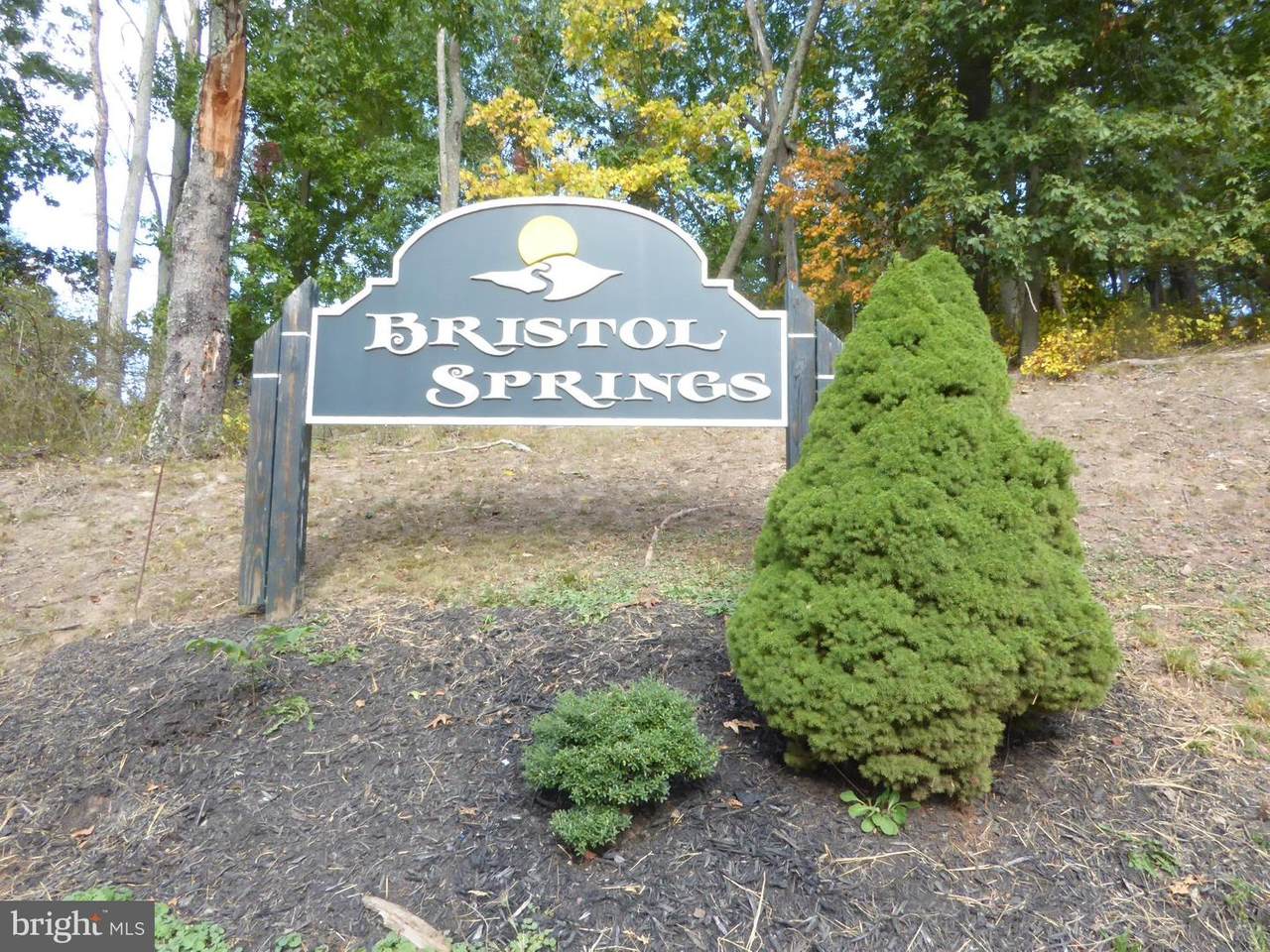 Lot 9 Bristol Springs Way - Photo 1