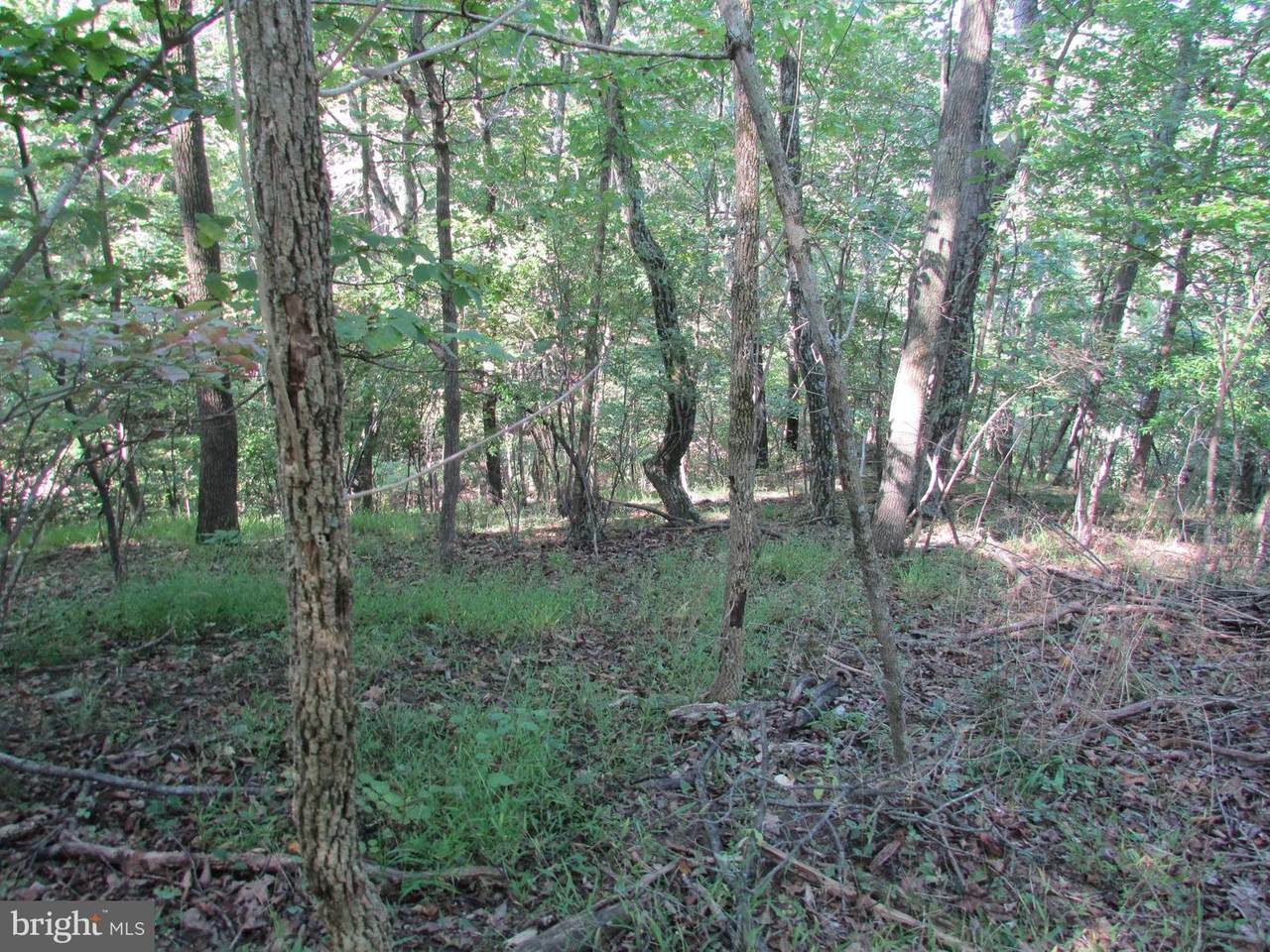 O Sycamore Road - Photo 1