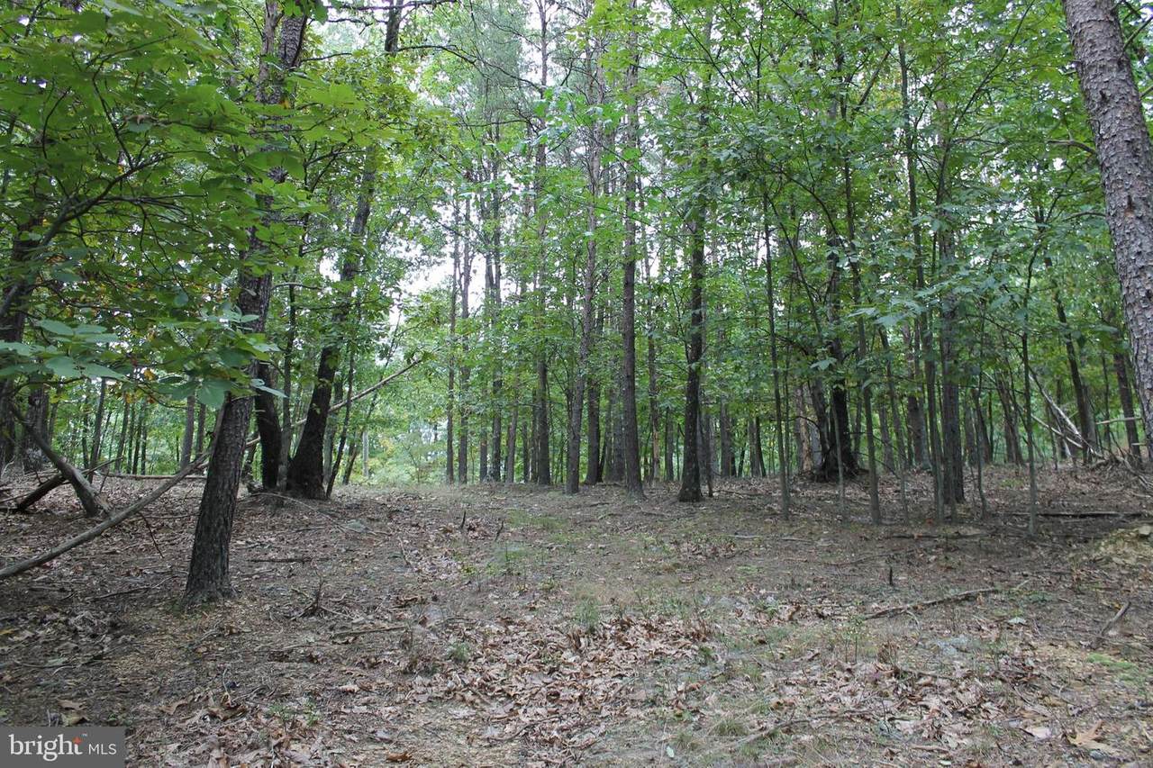 Lot 10 Buttonwood Trail - Photo 1